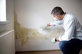 Mold Remediation for Vacation Homes in Palmyra, WI